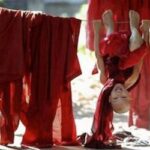Le 7 vie della pace – Yoga vita e Salute