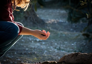 solely-5082741_1280 – Yoga vita e Salute