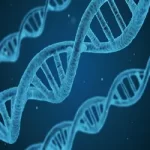 dna-1811955_1280 – Yoga vita e Salute